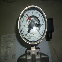 進(jìn)口WIKA壓力表213.40