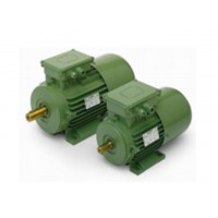 意大利永磁同步電機(jī)OEMER QS160M 原廠直供