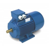 意大利原裝進(jìn)口oemer電機(jī)LTS-TB 系列LTS-TB 200 S