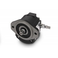 意大利原廠卡薩帕CASAPPA鑄鐵結(jié)構(gòu)齒輪泵和電機(jī)KAPPA