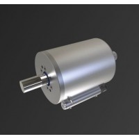 德國供應麥爾Mayr活塞桿制動器ROBA?-linearstop