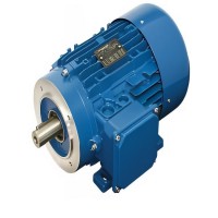 Carpanelli高效電機(jī)IE3 MRE100a2型