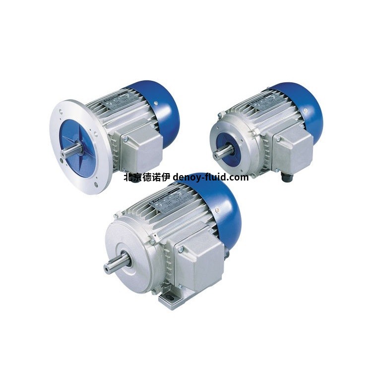 Carpanelli單相異步電機(jī)說(shuō)明