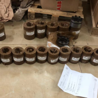 KTR ROTEX GS無齒隙彈性聯(lián)軸器 德國制造