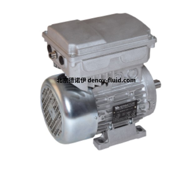 意大利nerimotori HE2 80B異步電機(jī)