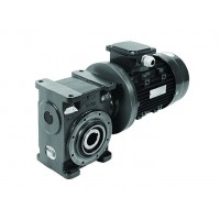 德國供應(yīng)Radicon初級蝸輪減速機AJ系列