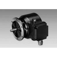 歐洲進口傳感器Baumer