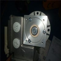 意大利Mini motor直流馬達(dá)電機BCE200024MP