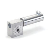 Mini Motor 潔凈電機(jī) PAEF系列 意大利制造