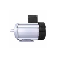 EMGR DES 100LX6高效IE2三相電機(jī)