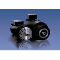 德國Baumüller包米勒緊湊型電機DSC系列DSC1-056