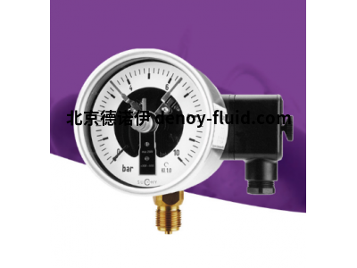 德國SUCHYSUCHY溫度計