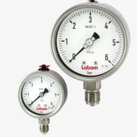 Labom食品級壓力變送器CA1110-A3091-Q3-H1-T120-K126