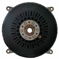 EMRAX軸向磁通電機 228系列 峰值扭矩：230 牛米