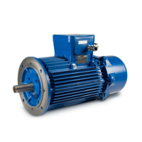 CEMP防爆電機 E3AB系列 用于易燃、易爆環(huán)境下