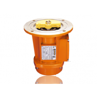 意大利Italvibras 生產(chǎn)各種型號(hào)振動(dòng)器，廣泛應(yīng)用于多種行業(yè)