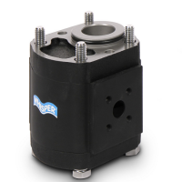 意大利CASAPPA WS 系列齒輪泵威世系列