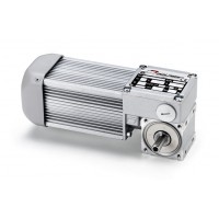 意大利Mini Motor蝸輪電機(jī)MC244PT -  40 B3