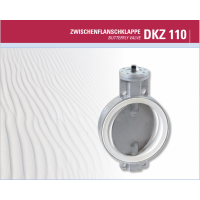 Warex Valve中間法蘭翻板 DKZ 110蝶閥