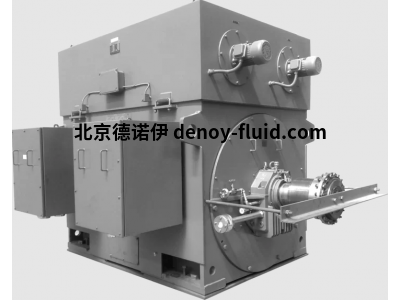 Lammers中/高壓電機(jī)標(biāo)稱電壓3 –13.8千伏IP23電機(jī)