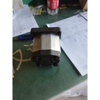 德國ROQUET鋁制齒輪泵和電機1PLA36DG09R 用于汽車行業(yè)使用