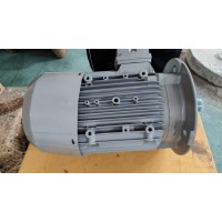 LAMMERS低壓電機(jī)1TZ9002-0BA2應(yīng)用于船舶化工行業(yè)