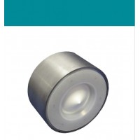 interapp WPCV金屬閥體彈簧輔助對(duì)夾式提升閥芯止回閥