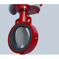 bray單體式閥板襯膠蝶閥20/21系列衛(wèi)生化工應用