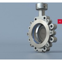 bray 4-Cx雙偏心雙偏置蝶閥采用可調(diào)節(jié)動負(fù)載閥桿密封