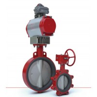 bray 3-Cx凸耳式彈性蝶閥硫化閥座異型盤(pán)密封邊緣