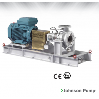 Johnson Pump 重型流程泵，適合化工、煉油廠和一般工業(yè)應(yīng)用