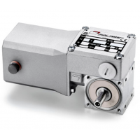 Mini Motor 蝸輪蝸桿直流減速電機(jī)BC2000-24MP，永磁直流電，全封閉