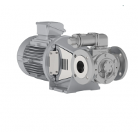 Johnson Pump 內(nèi)嚙合齒輪泵，適用于中等粘度、清潔和非磨蝕性液體