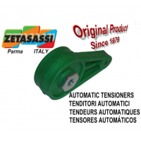 意大利ZETASASSI 帶孔或螺紋孔的自動臂張緊器TC05