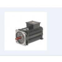 OEMER MOTORI ELETTRICI LQ100L 電機(jī)