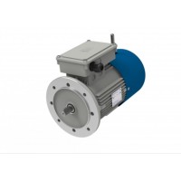 M.T. Motori DF 系列電機具有雙極性的三相自制動電機