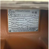 Italvibras振動(dòng)電機(jī)ITVAF 9/1510-RS-S08貨號604044