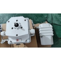 Stromag51_75_BM0Z_498輔助電流變速箱凸輪終端開(kāi)關(guān)