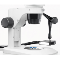 德國(guó)Schott AG KL 1500 HAL鹵素光源